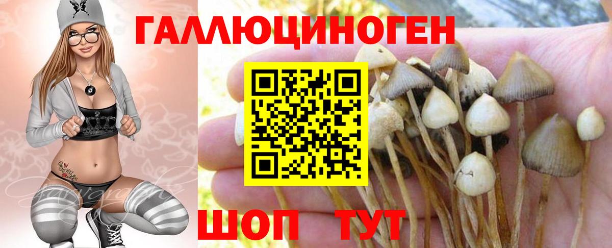 наркота  Вход с VPN  Реж  Галлюциногенные грибы Cubensis 